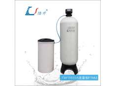 TMFB600A流量型软化水设备
